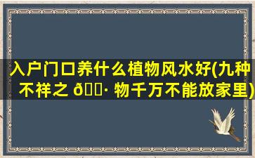 入户门口养什么植物风水好(九种不祥之 🌷 物千万不能放家里)